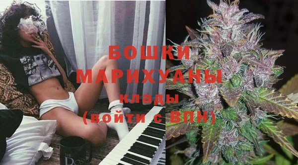 PSILOCYBIN Липки
