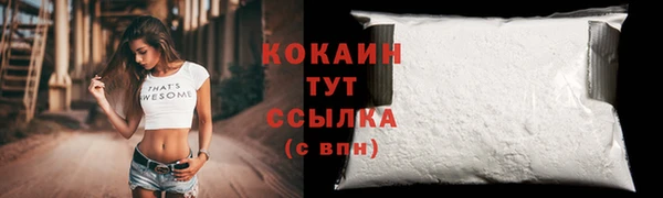 PSILOCYBIN Липки