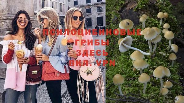 PSILOCYBIN Липки